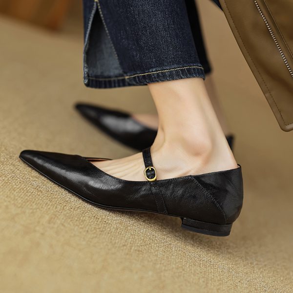 Elegant Retro Chunky Heel Mary Jane Shoes for Women - Pointed Toe One-Strap Flats for Commuting, Vintage Style Footwear