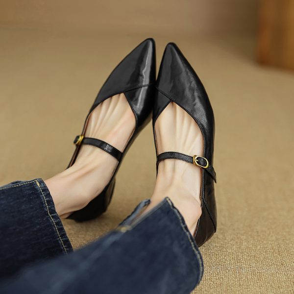 Elegant Retro Chunky Heel Mary Jane Shoes for Women - Pointed Toe One-Strap Flats for Commuting, Vintage Style Footwear