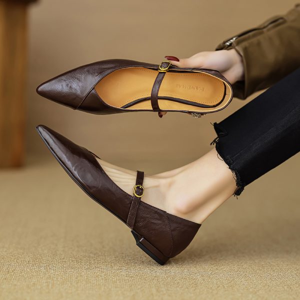 Elegant Retro Chunky Heel Mary Jane Shoes for Women - Pointed Toe One-Strap Flats for Commuting, Vintage Style Footwear