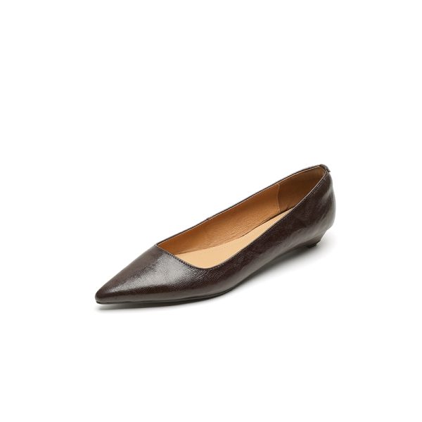 Genuine Leather Low-Heeled Pointed Toe Work Shoes for Women - Elegant Commuting Style, Italian Design, Perfect for Office and Daily Wear