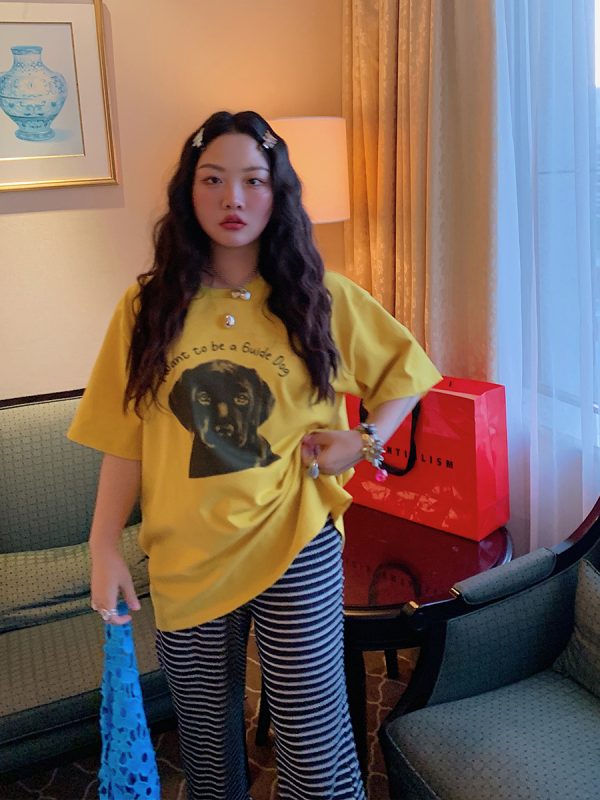 Loose Printed T-Shirt for Women, Short Sleeve Plus Size Summer Top, 2025 New Style, Korean Lazy Fashion, Casual Everyday Wear