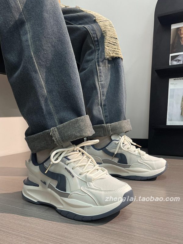 Men's Summer Mesh Dad Shoes - Versatile Soft Sole Breathable American Retro Sports Casual Footwear