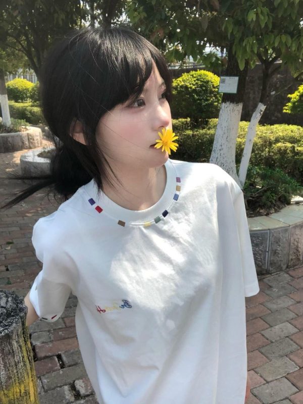 Trendy White Short Sleeve T-Shirt for Women with Embroidery - Summer 2025 American Style Niche Design