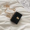 Trendy Women's Small Chain Bag 2025 - Korean Style Versatile Shoulder Crossbody Bag for Internet Celebrity Fashion